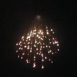 Twinkling Spangle Willow with Tail.jpg